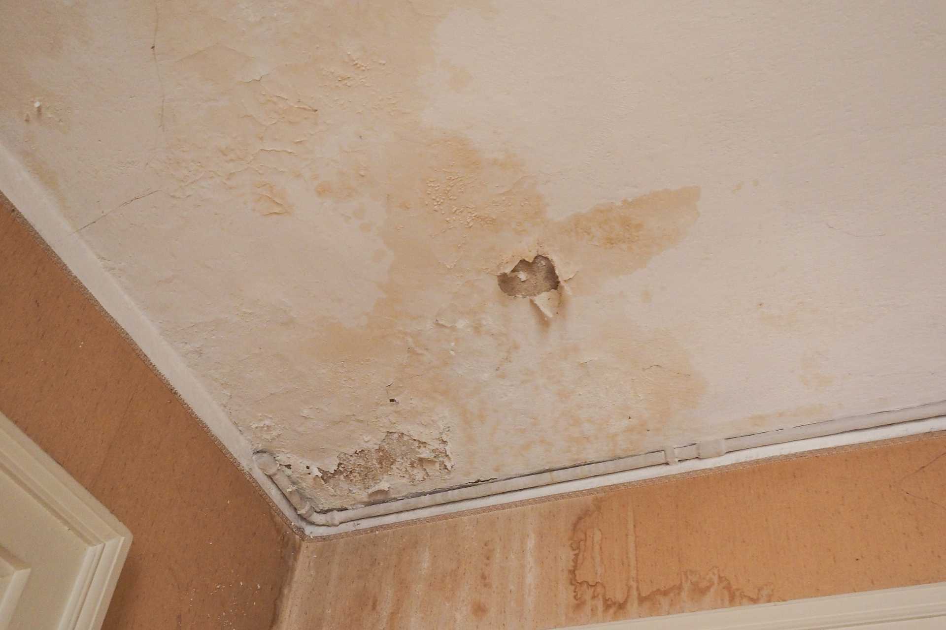 How Moisture Damage Starts — and Why It’s So Dangerous for Your Home - Riverbend Windows and Doors